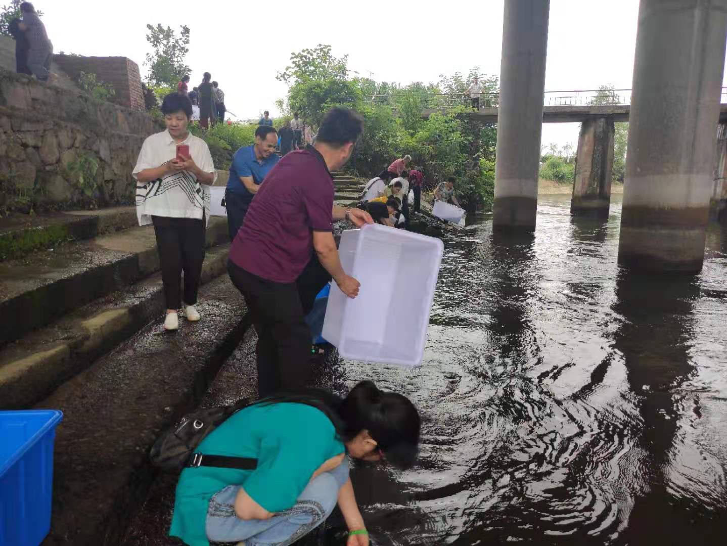 华严寺6月24日放生法会圆满